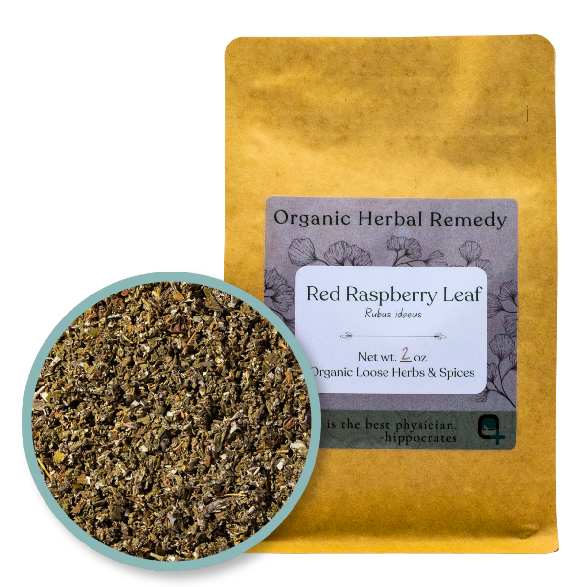 Quinn's Apothecary | Red Raspberry Leaf | 2 oz