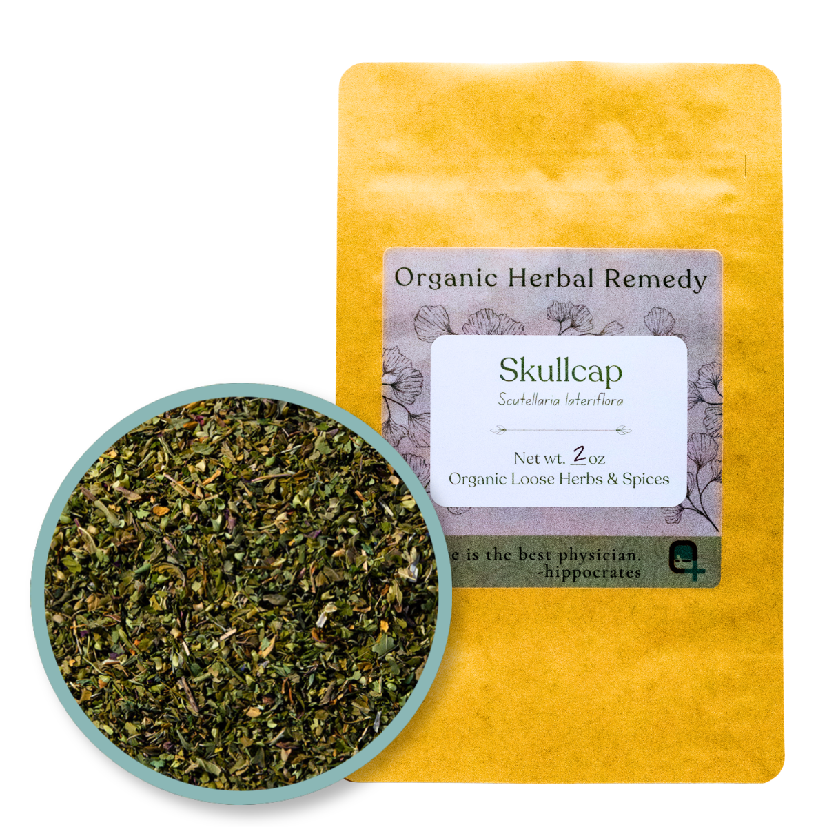 Quinn's Apothecary | Skullcap | 2 oz