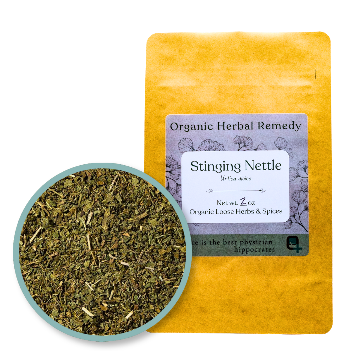 Quinn's Apothecary | Stinging Nettle Leaf | 2 oz
